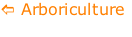 \ Arboriculture

