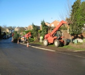 Planting and Aftercare